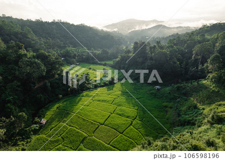 Rice terraces in the forest at a rural village 106598196