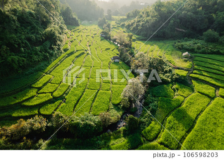 Rice terraces in the forest at a rural village Rice terraces in the forest at a rural village 106598203