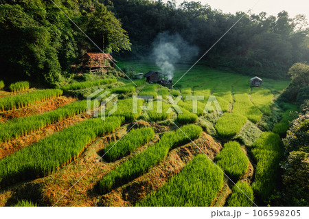 Rice terraces in the forest at a rural village Rice terraces in the forest at a rural village 106598205