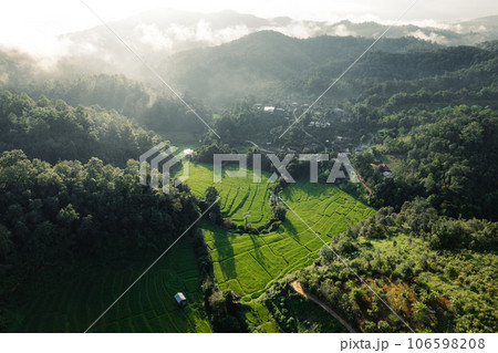 Rice terraces in the forest at a rural village 106598208
