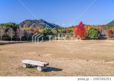 紅葉イメージ【三重県民の森・赤いクリスマスツリー】 紅葉イメージ【三重県民の森・赤いクリスマスツリー】 106598261