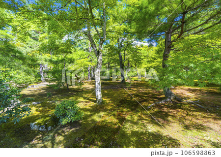 金閣寺（鹿苑寺）境内　緑豊かな庭園 106598863