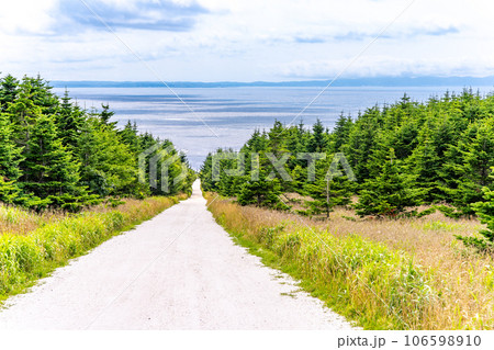 白い道　宗谷岬 106598910