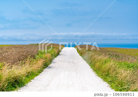 白い道　宗谷岬 106598911