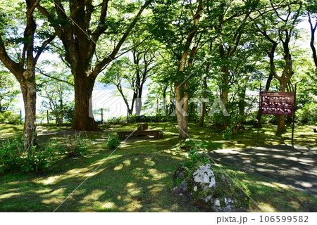 箱根町芦ノ湖畔　山のホテルの庭園遊歩道と芦ノ湖 106599582