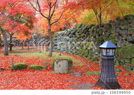 小諸懐古園の紅葉 小諸懐古園の紅葉 106599950