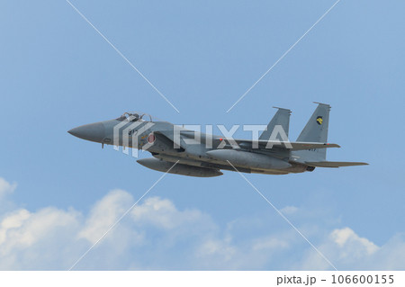 雲上の航空自衛隊第306飛行隊F-15Jイーグル 雲上の航空自衛隊第306飛行隊F-15Jイーグル 106600155