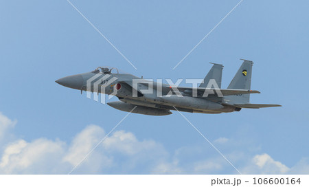雲上の航空自衛隊第306飛行隊F-15Jイーグル 106600164
