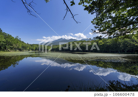 知床五湖の風景 知床五湖の風景 106600478