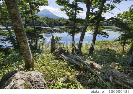 知床五湖の風景 106600483