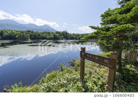 知床五湖の風景 106600485