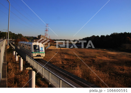 夕日を浴びるユーカリが丘線　【千葉県佐倉市ユーカリが丘にて】 106600591