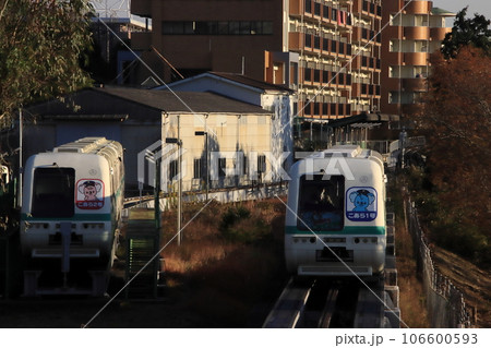 ユーカリが丘線の車庫にいる車両と本線を走る車両　【千葉県佐倉市ユーカリが丘にて】 106600593