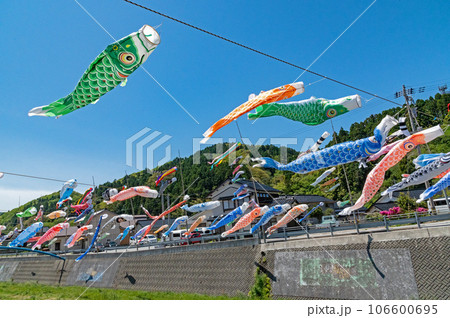 大谷川鯉のぼり川渡し　初夏の奥能登 106600695