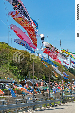 大谷川鯉のぼり川渡し 初夏の奥能登 大谷川鯉のぼり川渡し 初夏の奥能登 106600699