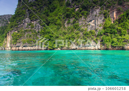 Maya bay Phi Phi Leh island, Krabi Thailand 106601258