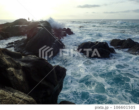 荒れた磯でヒラスズキを狙う 106601505