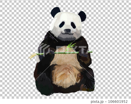 笹を持つパンダ 笹を持つパンダ 106601952
