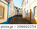 ポルトガルのおしゃれな裏路地 106602254