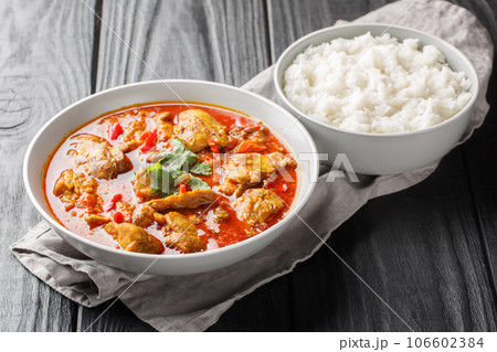 Homemade chicken curry in red spicy sauce served with jasmine rice close-up in a bowl. Horizontal 106602384
