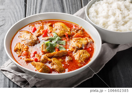 Asian chicken curry in a sauce consisting of onion, ginger, lemongrass, pepper, garlic and tomato close-up in a bowl. Horizontal Asian chicken curry in a sauce consisting of onion, ginger, lemongrass, pepper, garlic and tomato close-up in a bowl. Horizontal 106602385