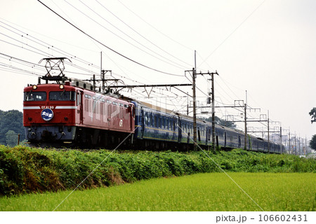 2002年　東北本線を走るEF8199ブルートレイン北斗星6号 106602431
