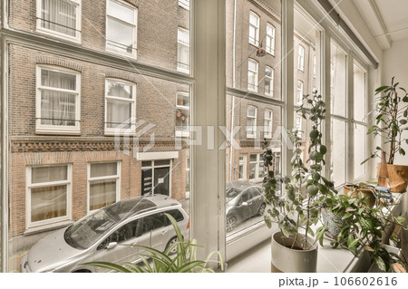some plants in pots on a window sie with a car parked by the side of the road behind it 106602616