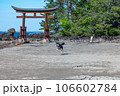 恋路海岸の黒柴　奥能登の風景 106602784
