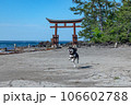 恋路海岸の黒柴　奥能登の風景 106602788