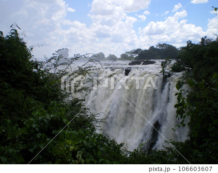 ヴィクトリアの滝　ザンビア側 106603607
