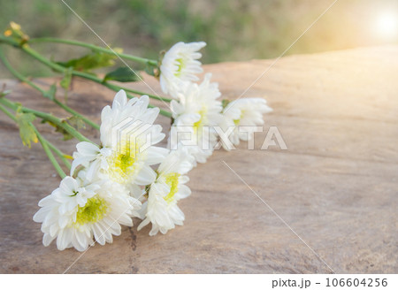 flowers on white wood table 106604256