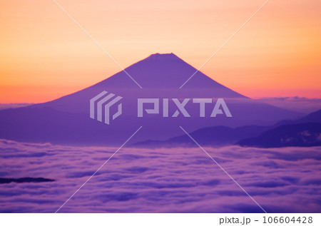 高ボッチ高原からの日の出前の富士山 高ボッチ高原からの日の出前の富士山 106604428