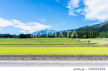 田舎の田園風景 106604989