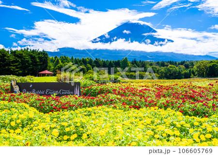 本栖湖リゾートの虹の花まつり 本栖湖リゾートの虹の花まつり 106605769