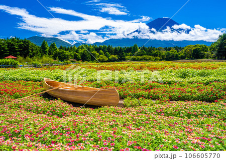 本栖湖リゾートの虹の花まつり 本栖湖リゾートの虹の花まつり 106605770
