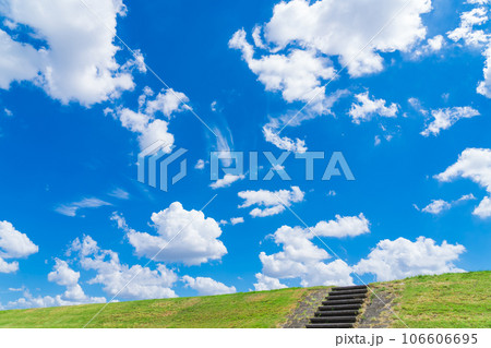 大空と草むら  背景素材 106606695