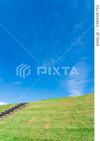 大空と草むら  背景素材 106606702