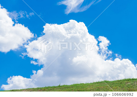 大空と草むら  背景素材 106606992