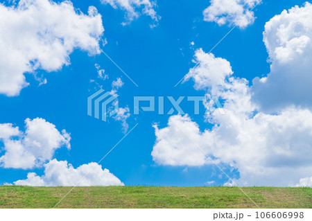 大空と草むら 背景素材 大空と草むら 背景素材 106606998