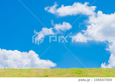 大空と草むら  背景素材 106607000