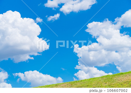 大空と草むら  背景素材 106607002