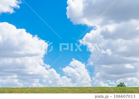 大空と草むら  背景素材 106607013