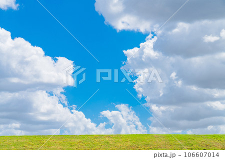 大空と草むら  背景素材 106607014