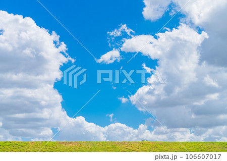 大空と草むら  背景素材 106607017
