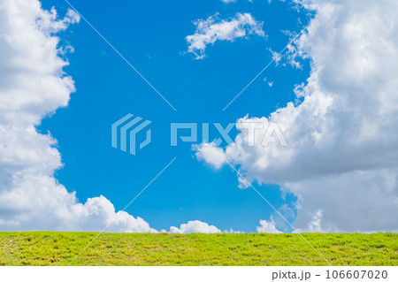 大空と草むら  背景素材 106607020