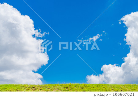 大空と草むら  背景素材 106607021