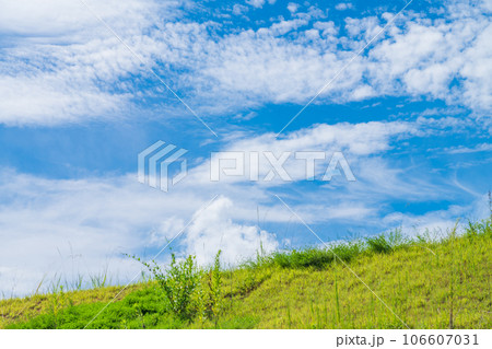 大空と草むら 背景素材 大空と草むら 背景素材 106607031