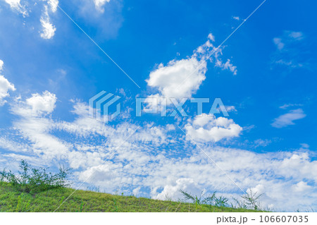 大空と草むら  背景素材 106607035