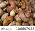 モザンビークの皮つきカシューナッツ 106607088