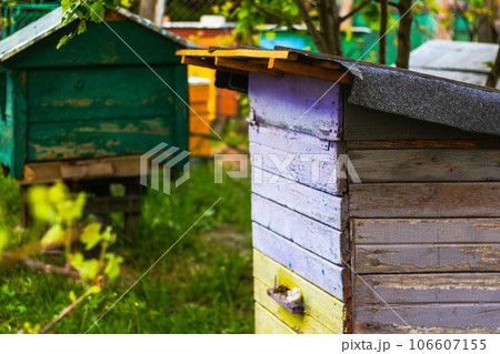 Close up beehive farm boxes for the production of honey. Row of colorful Vintage wooden beehives stay on apiary. Honey healthy food products. Private enterprise for beekeeping. Selective focus 106607155